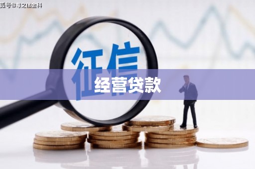 中原经营贷款