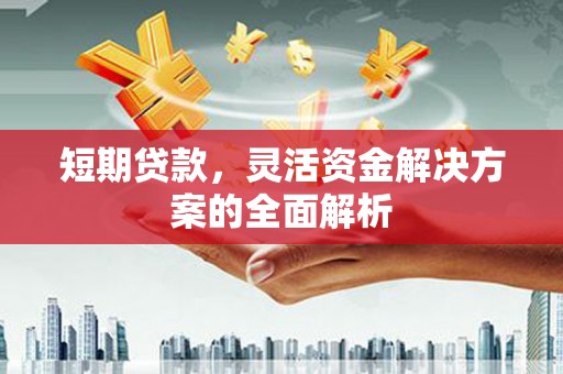 中原短期贷款，灵活资金解决方案的全面解析