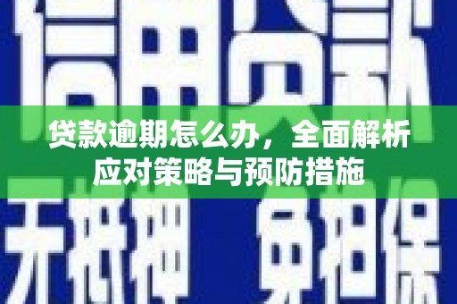 中原贷款逾期怎么办，全面解析应对策略与预防措施