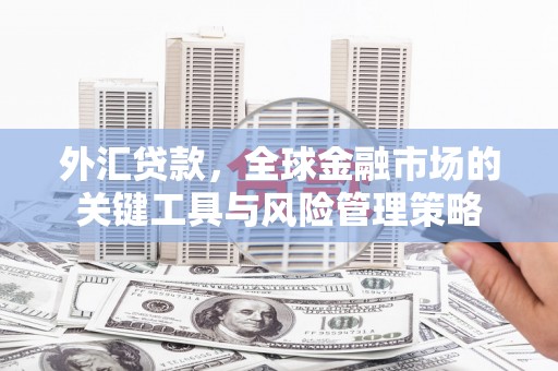 中原外汇贷款，全球金融市场的关键工具与风险管理策略