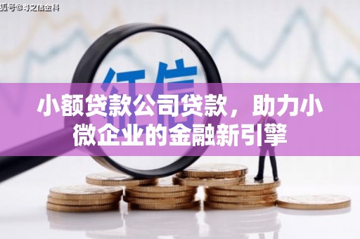 中原小额贷款公司贷款，助力小微企业的金融新引擎