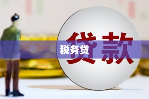 中原税务贷