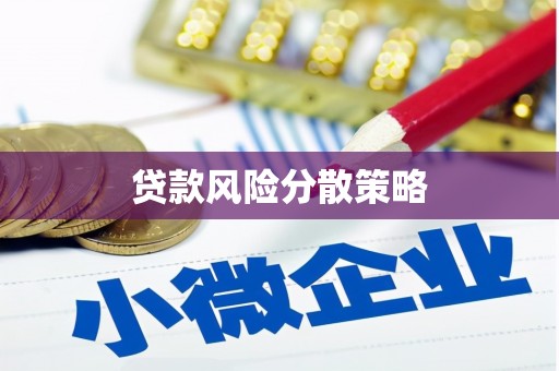中原贷款风险分散策略