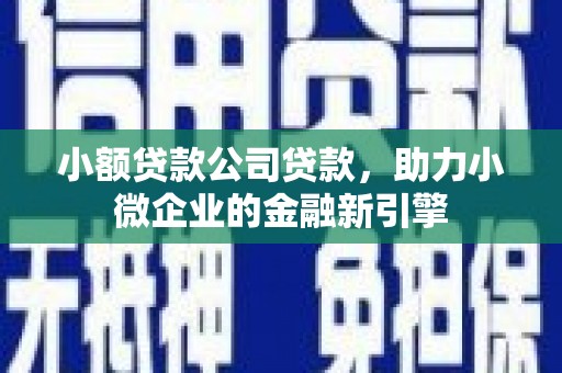 中原小额贷款公司贷款，助力小微企业的金融新引擎