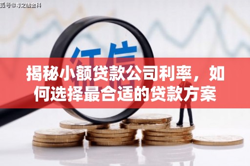 中原揭秘小额贷款公司利率，如何选择最合适的贷款方案