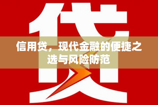 中原信用贷，现代金融的便捷之选与风险防范