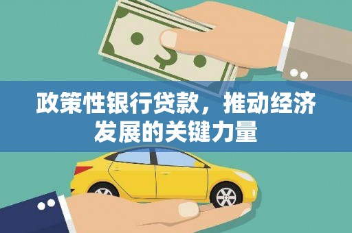 中原政策性银行贷款，推动经济发展的关键力量