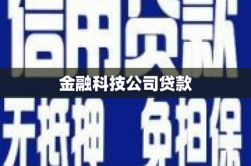 中原金融科技公司贷款
