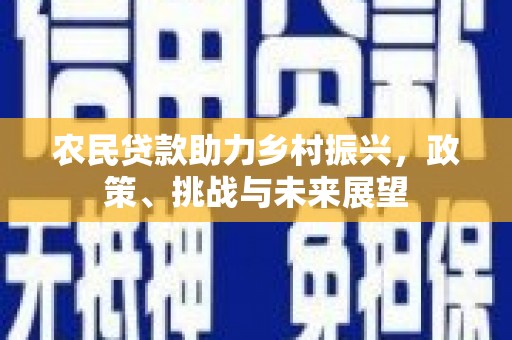 中原农民贷款助力乡村振兴，政策、挑战与未来展望