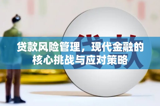 中原贷款风险管理，现代金融的核心挑战与应对策略