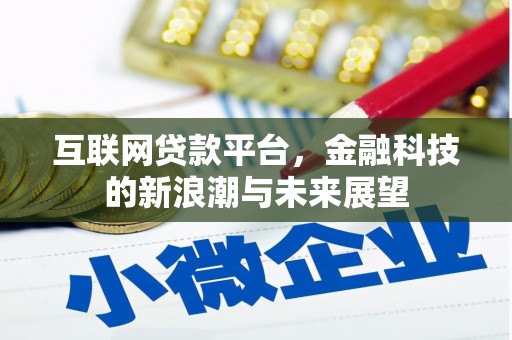中原互联网贷款平台，金融科技的新浪潮与未来展望