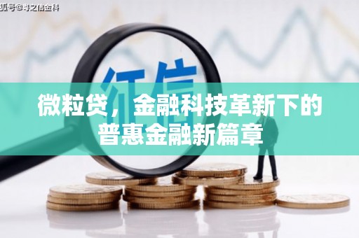 中原微粒贷，金融科技革新下的普惠金融新篇章