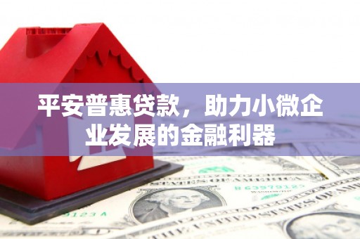 中原平安普惠贷款，助力小微企业发展的金融利器