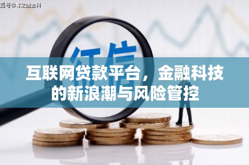 中原互联网贷款平台，金融科技的新浪潮与风险管控