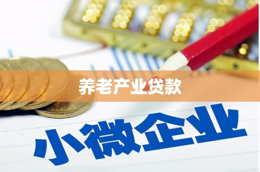 中原养老产业贷款