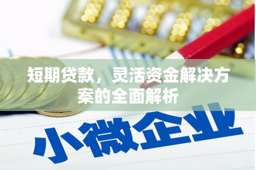中原短期贷款，灵活资金解决方案的全面解析