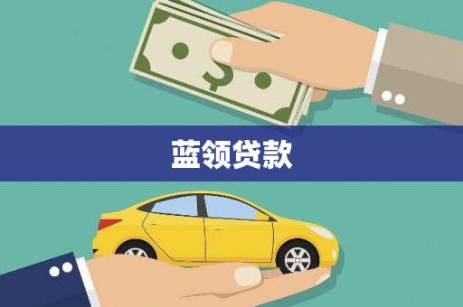 中原蓝领贷款