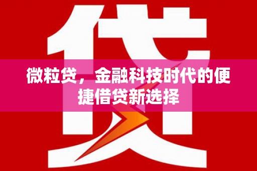 中原微粒贷，金融科技时代的便捷借贷新选择