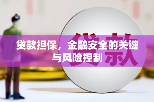 中原贷款担保，金融安全的关键与风险控制