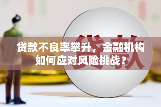 中原贷款不良率攀升，金融机构如何应对风险挑战？