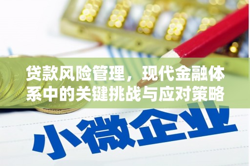 中原贷款风险管理，现代金融体系中的关键挑战与应对策略