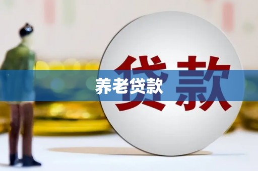 中原养老贷款