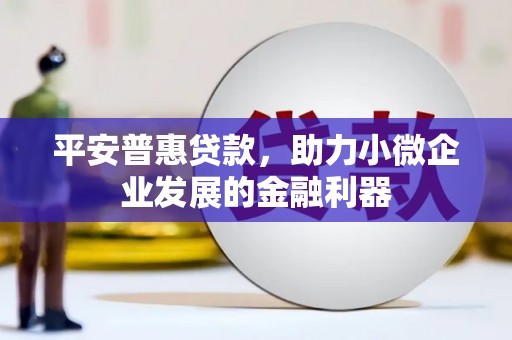 中原平安普惠贷款，助力小微企业发展的金融利器