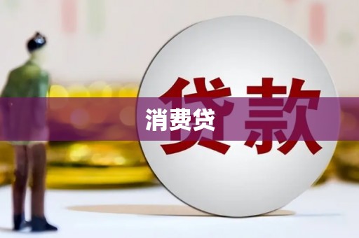中原消费贷