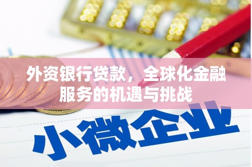 中原外资银行贷款，全球化金融服务的机遇与挑战