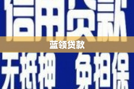 中原蓝领贷款