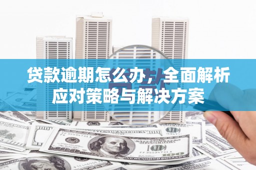 中原贷款逾期怎么办，全面解析应对策略与解决方案