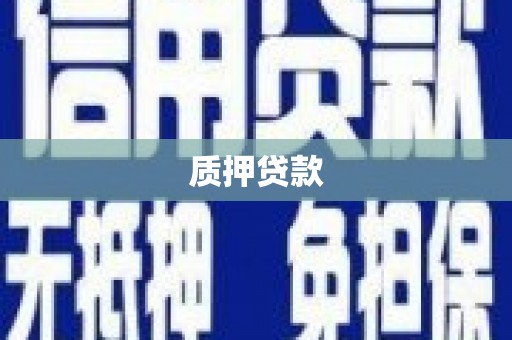 中原质押贷款