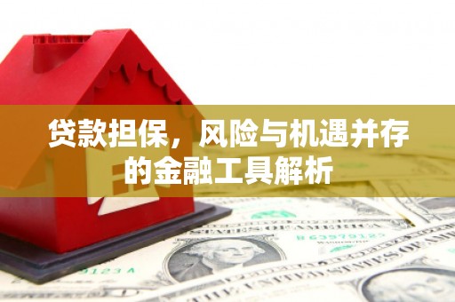 中原贷款担保，风险与机遇并存的金融工具解析