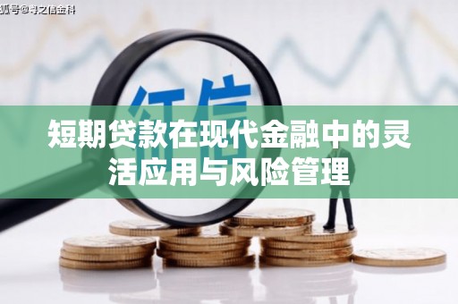 中原短期贷款在现代金融中的灵活应用与风险管理
