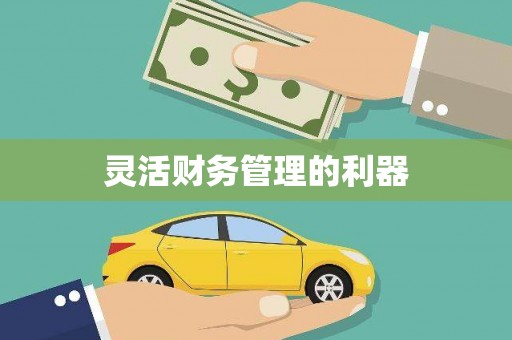 中原灵活财务管理的利器