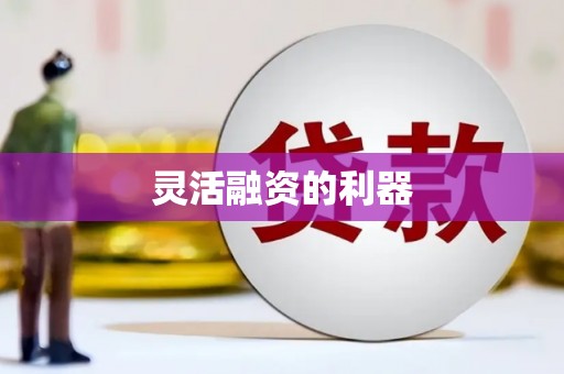 中原灵活融资的利器