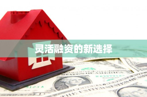 中原灵活融资的新选择
