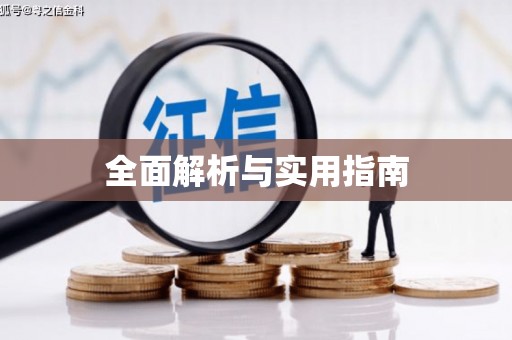 中原全面解析与实用指南