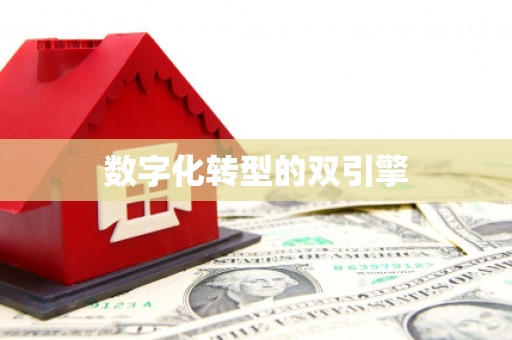 中原数字化转型的双引擎
