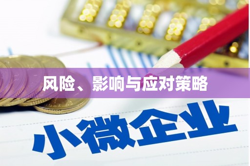 中原风险、影响与应对策略