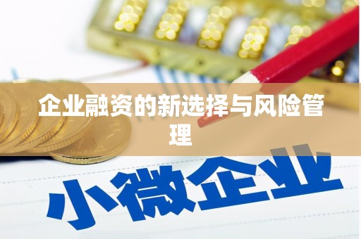 中原企业融资的新选择与风险管理