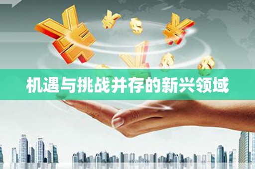 中原机遇与挑战并存的新兴领域