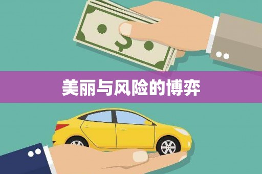 中原美丽与风险的博弈