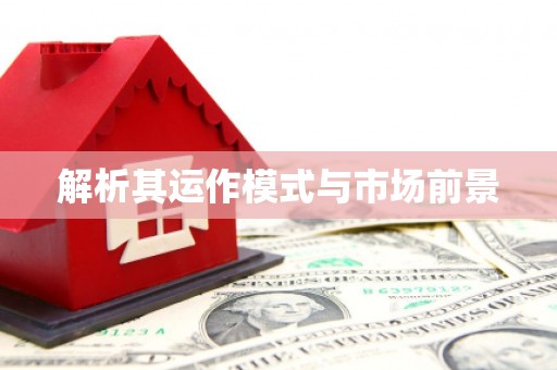 中原解析其运作模式与市场前景
