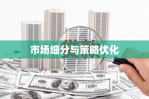 中原市场细分与策略优化