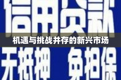 中原机遇与挑战并存的新兴市场