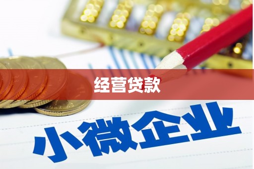中原经营贷款