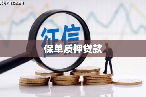 中原保单质押贷款