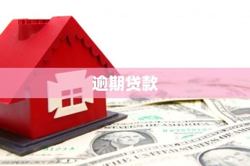 中原逾期贷款