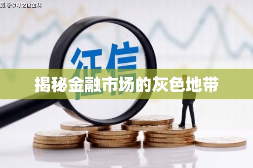 中原揭秘金融市场的灰色地带